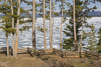 steamboat point looking back to fishing bridge area