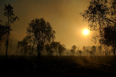 dusk fire
