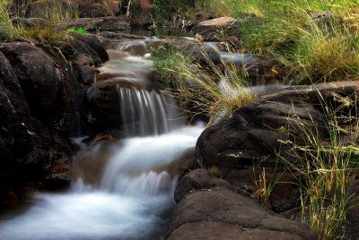 maguk stream