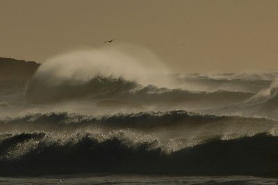 offshore