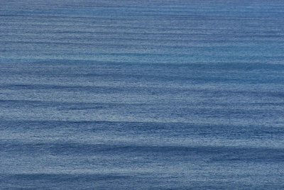 swell lines