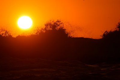 morning surf