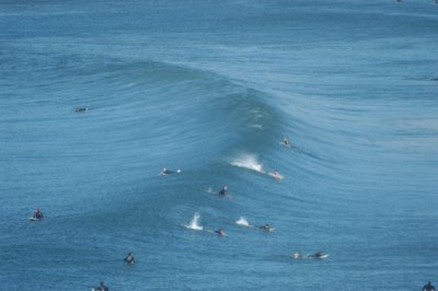 swell curve