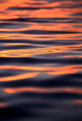 sunset ripples