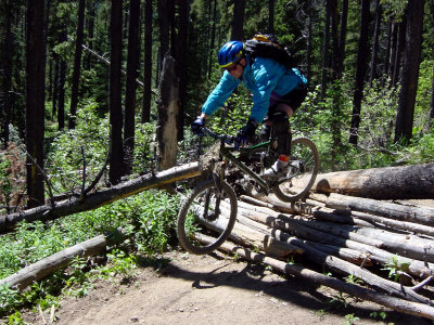 Stump Jumping on Moose Packer's Trail