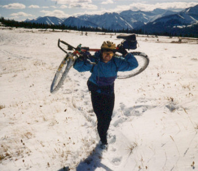 Jumpingpound in the snow