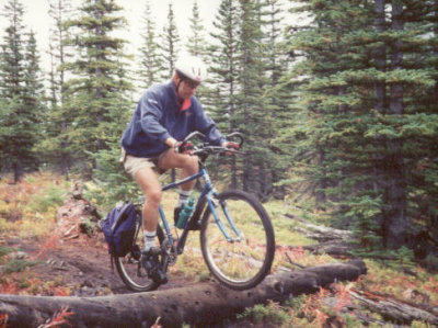 Big Log  Assiniboine Pass  - Dave L.