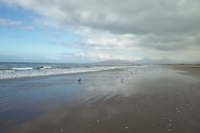 Beach of La Serena (Coquimbo), Chile
