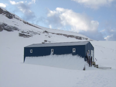 Peyto Hut