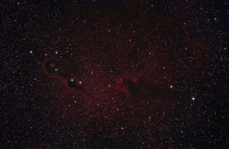 IC1396 The Elephant Trunk Nebula