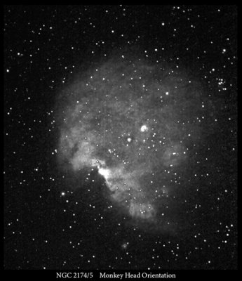 NGC-2174-5 - BW