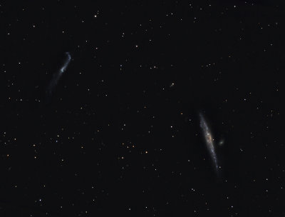 NGC 4631 (C32) & 4656 The Whale and Hockey Stick Galaxies in Canes Venatici