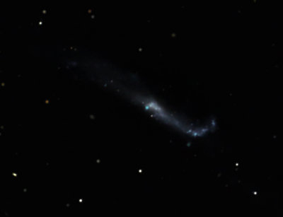 NGC 4656 The Hockey Stick Galaxy