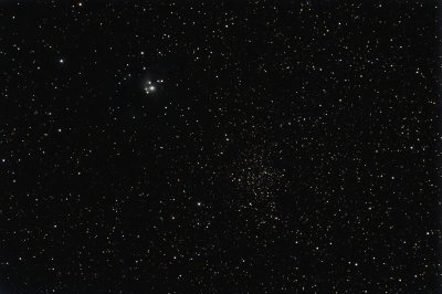 Cl Collinder 442, NGC-7142 and NGC-7129