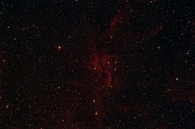 DWB 111 1300-pixels