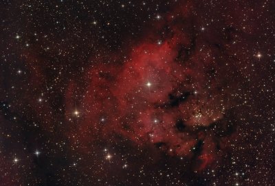 CED 214 Emission Nebula in Cepheus