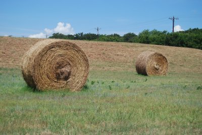 Cycling Texas