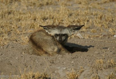 g1/27/944427/3/131669094.HuxAraWU.jpg