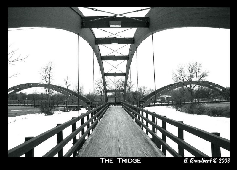 0tridge5x7.jpg