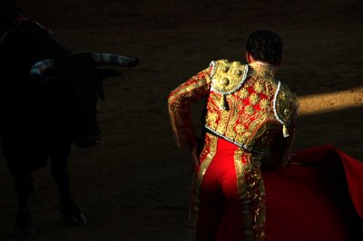Bullfight00jpg