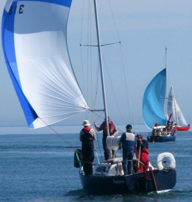Papagena02.jpg