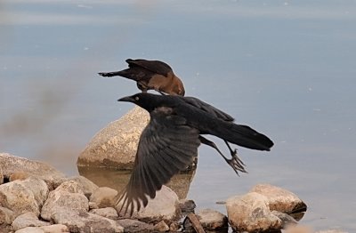 PC144154v2.jpg