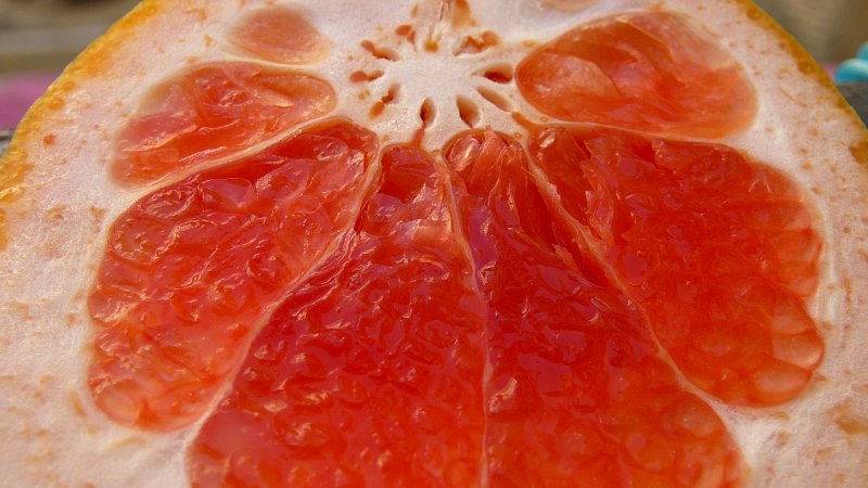 grapefruit