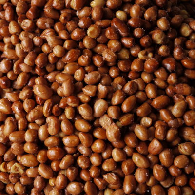 roasted peanuts