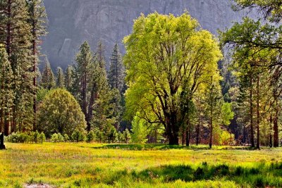 Summer in the Valley