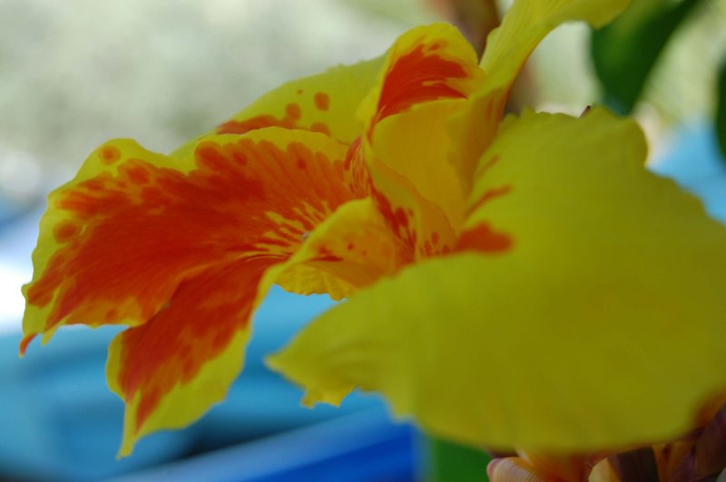 12-June 2009.jpg