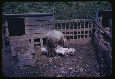 First Set: 1948: Testing