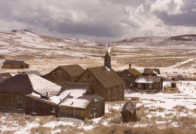 Bodie in Snow