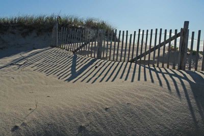Afternoon Shadows