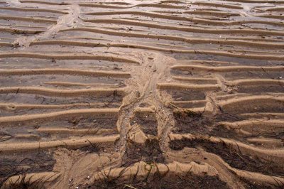 Low Tide Images