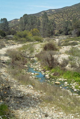 Pinnacles - Old Pinnacles Trail Pano 1