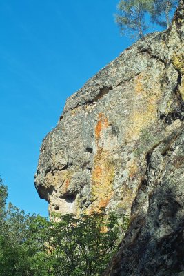 Pinnacles - Landscape