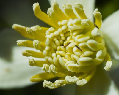 SDIM3287.JPG