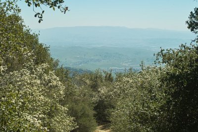 SDIM3476.JPG