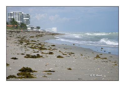 Hollywood Beach - 3168