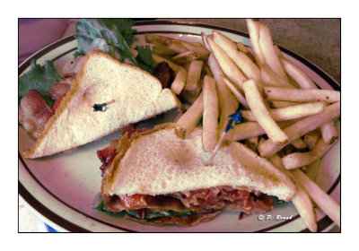 BLT sandwich - 3249