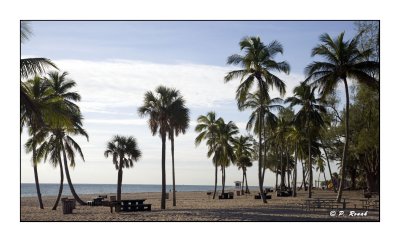 Ft Lauderdale Beach - 3206