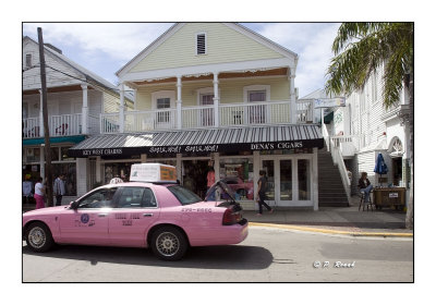 Key West - Dena's Cigars Shop - 3668