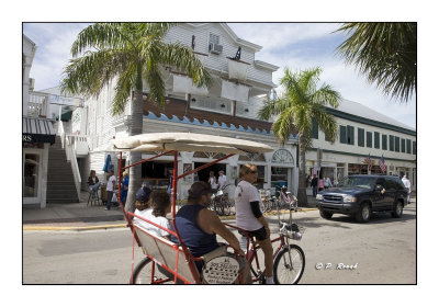 Key West - Pedicab - 3669