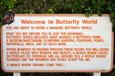 Butterfly World - 3722