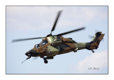 French Tiger - Le Luc 2009 - 0285