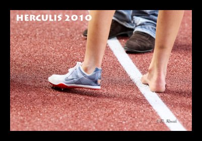 herculis - 0754