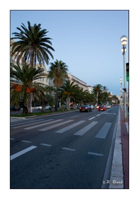 Promenade des Anglais - Nice - 2794