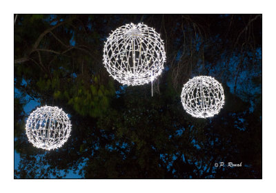 Illuminations à Nice - 2856