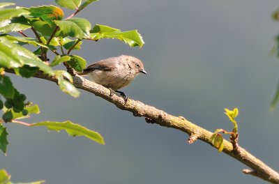 g1/28/338428/3/126176644.0ZEOEn6r.jpg