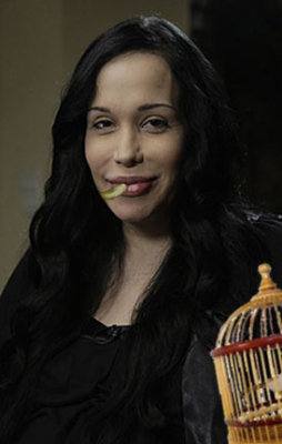 canary-swallower.jpg